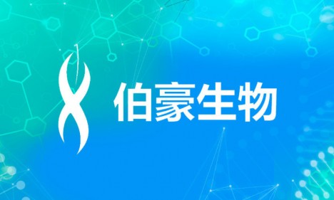 從 WGBS 到“芯”時代：牛甲基化研究開啟精準育種新篇章